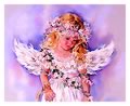Angel of The Innocent Heart